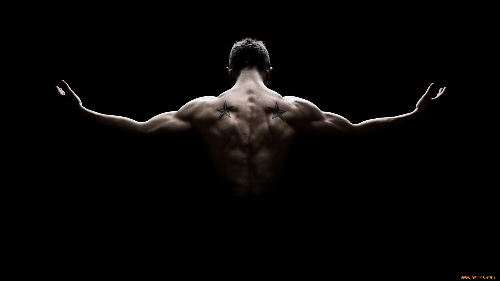 спорт, body, building, тень, мышцы, спина, татуировки, мужчина