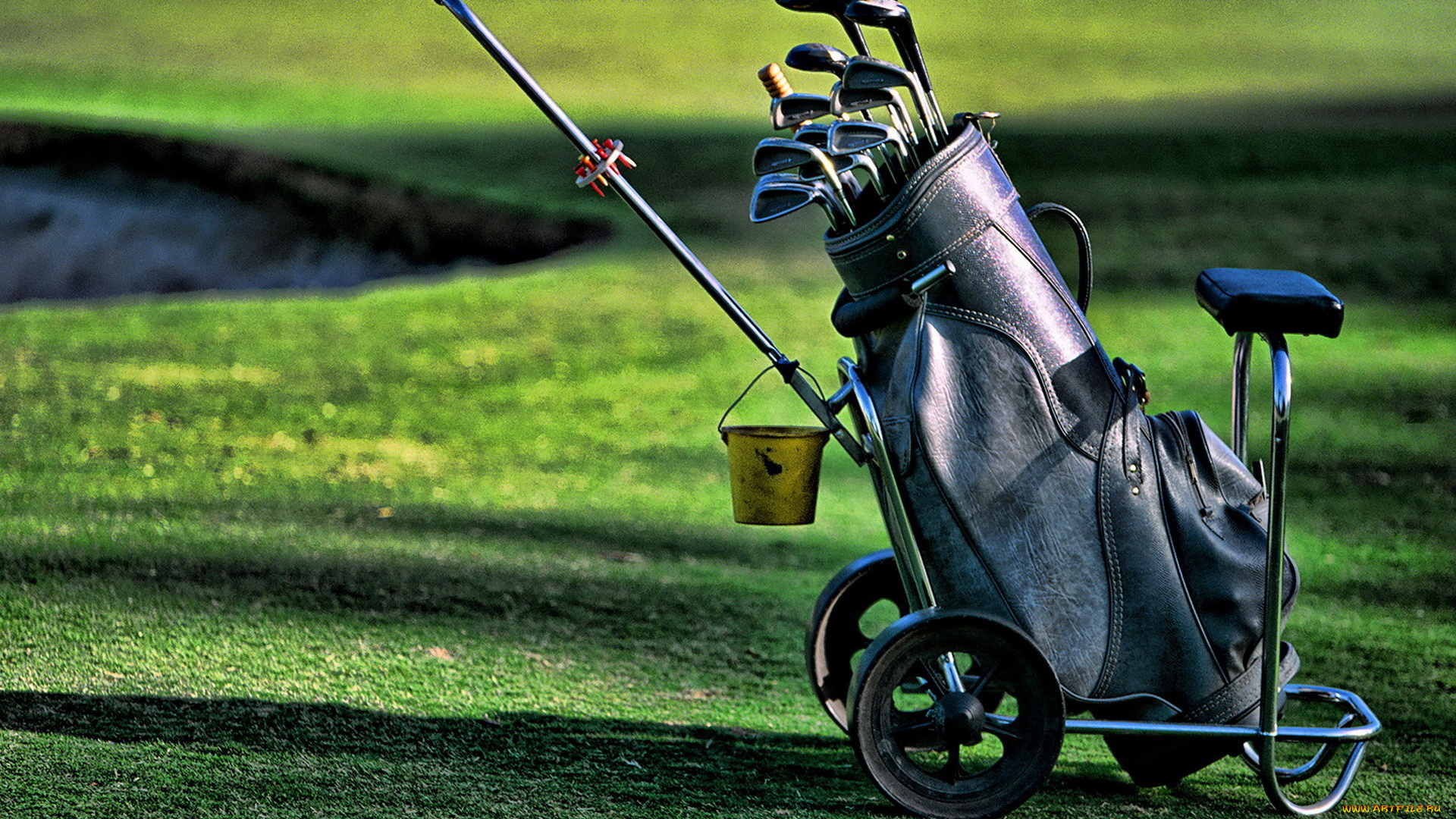 спорт, гольф, клюшки, поле, тележка, ведро