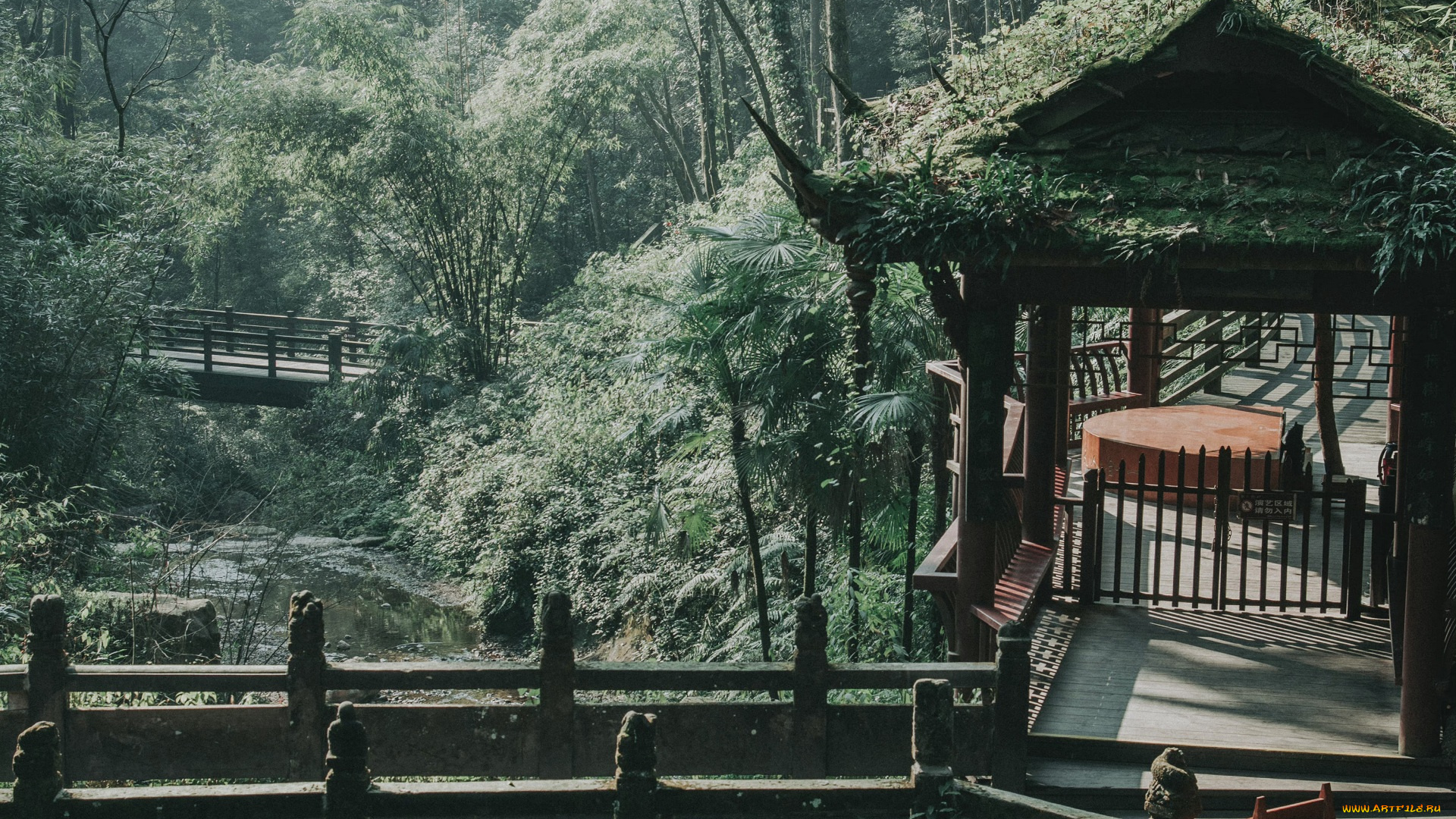 города, -, мосты, пейзаж