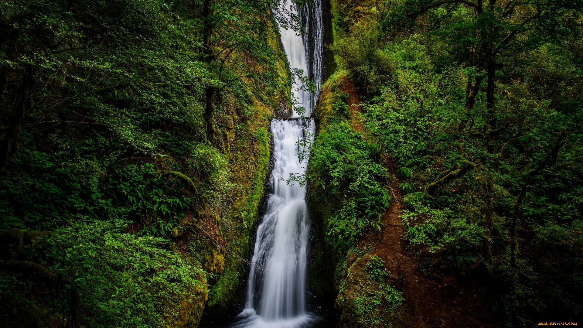 bridal, veil, falls, oregon, природа, водопады, bridal, veil, falls