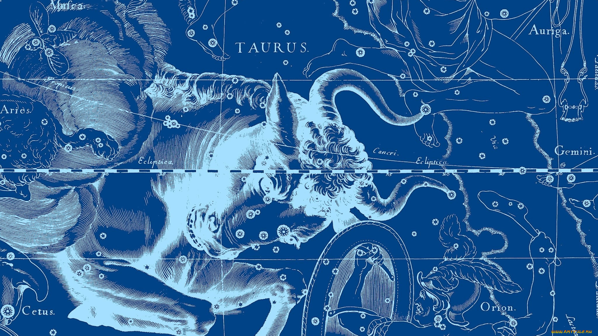 разное, знаки, зодиака, телец, созвездие