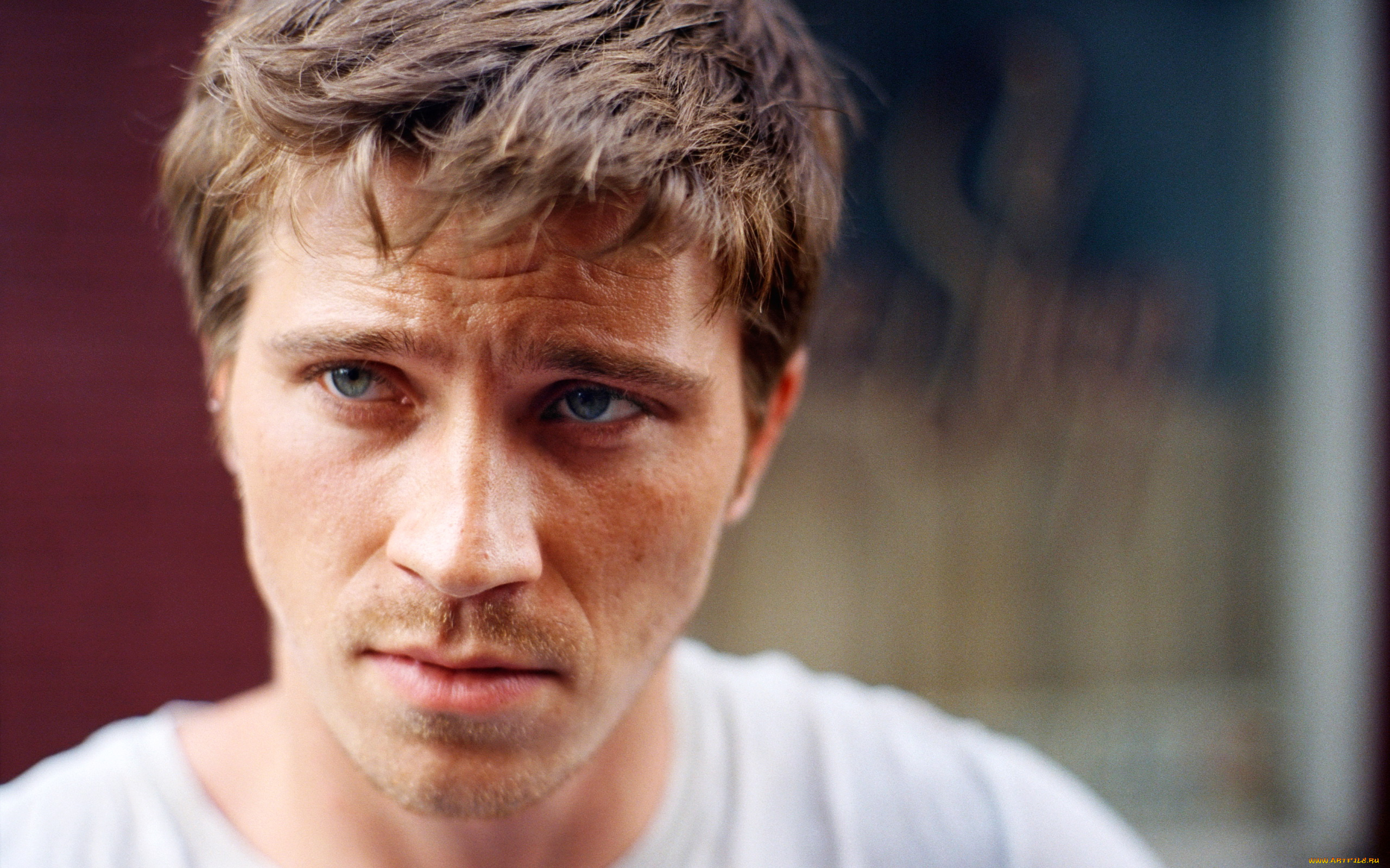 мужчины, garrett, hedlund, портрет