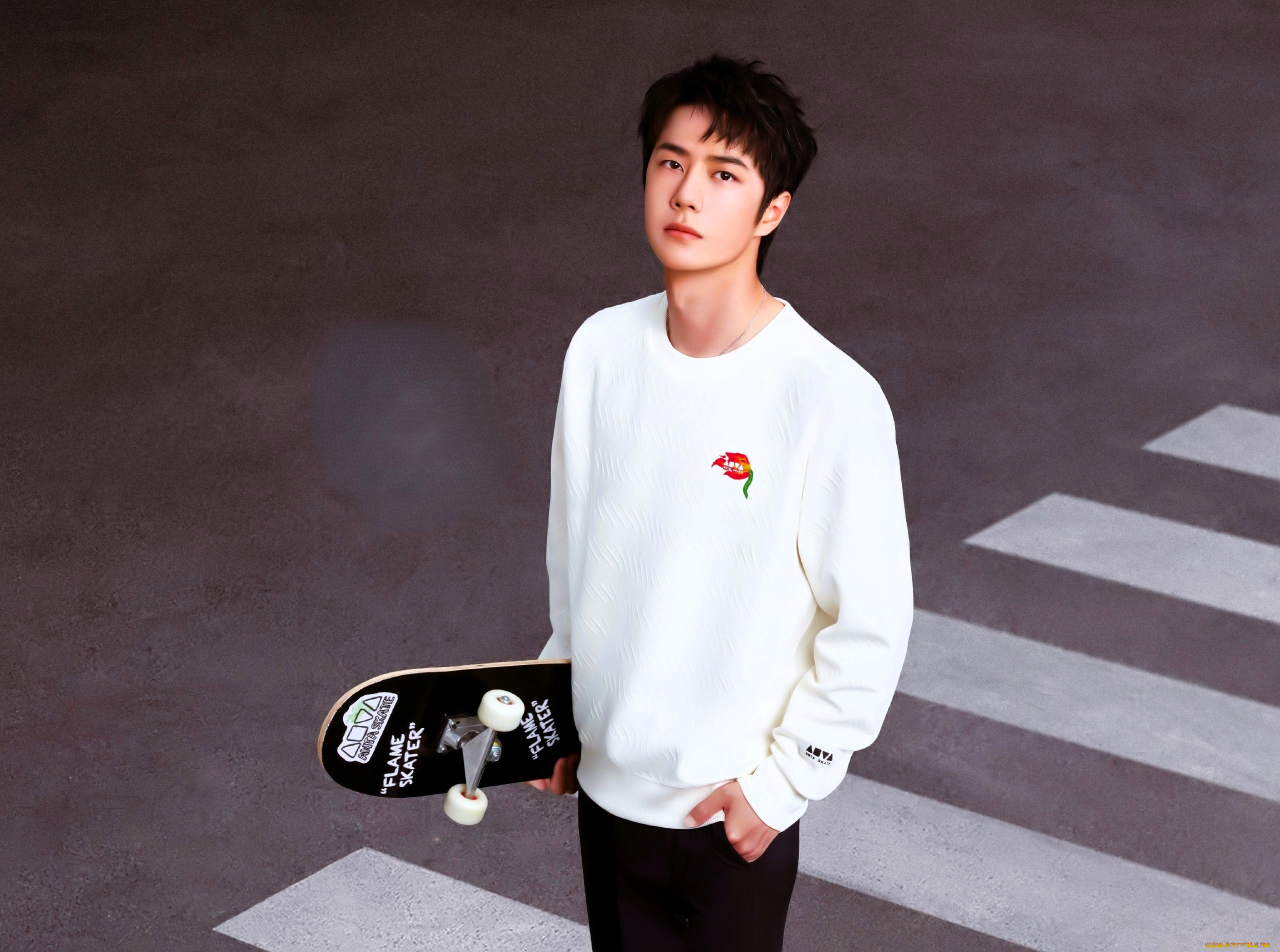 мужчины, wang, yi, bo, актер, свитер, скейт, переход, зебра