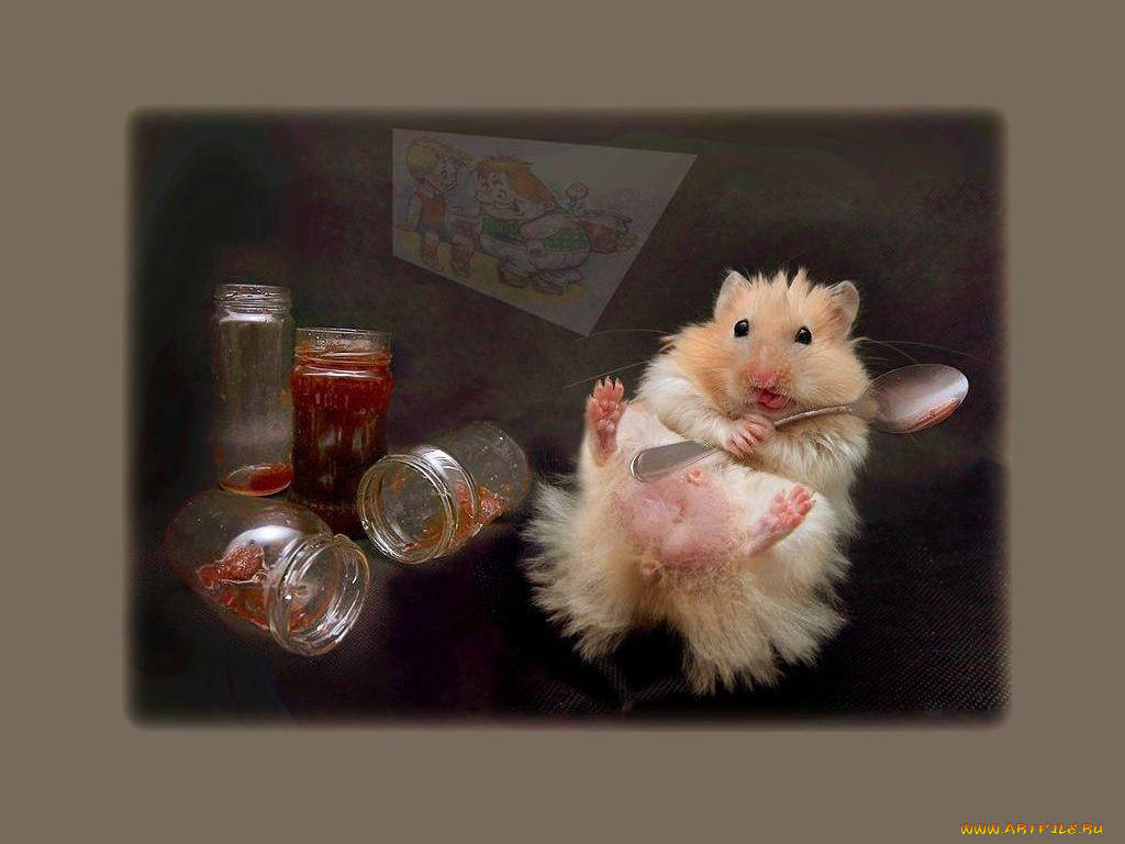 ланч, юмор, приколы