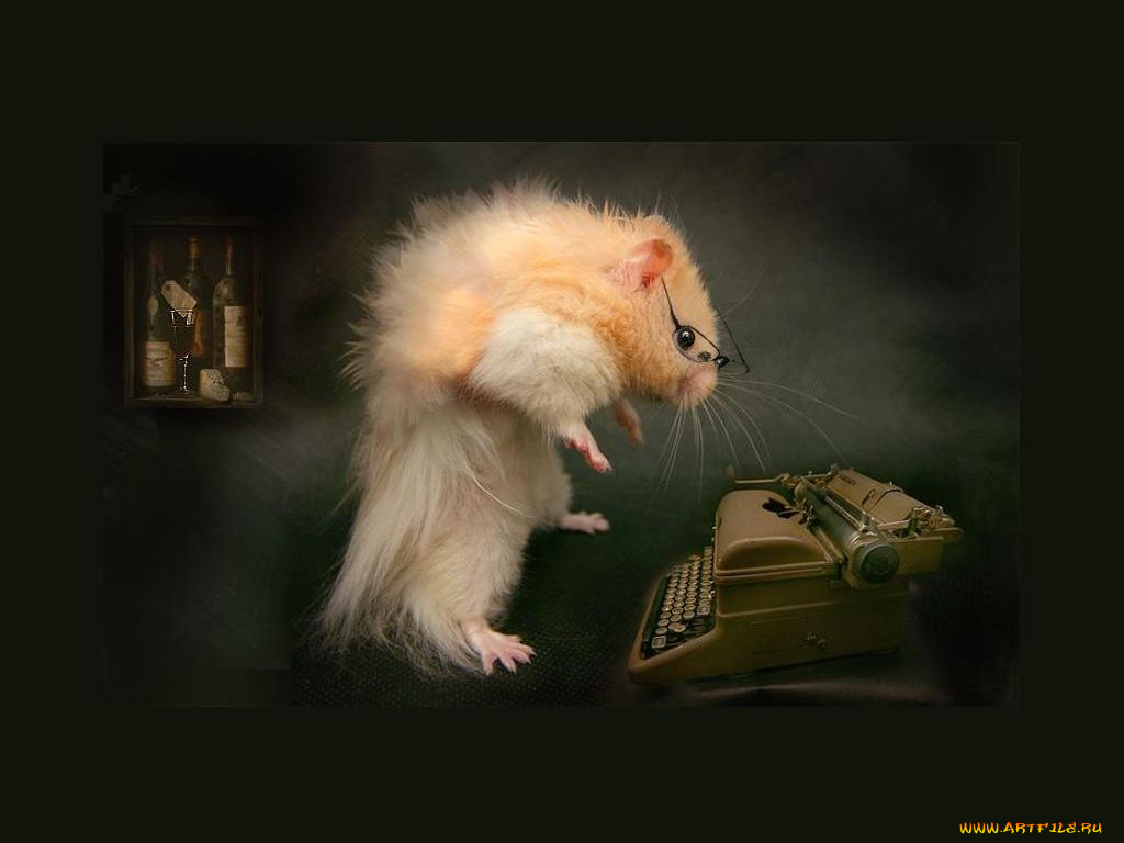 ожидание, музы, юмор, приколы