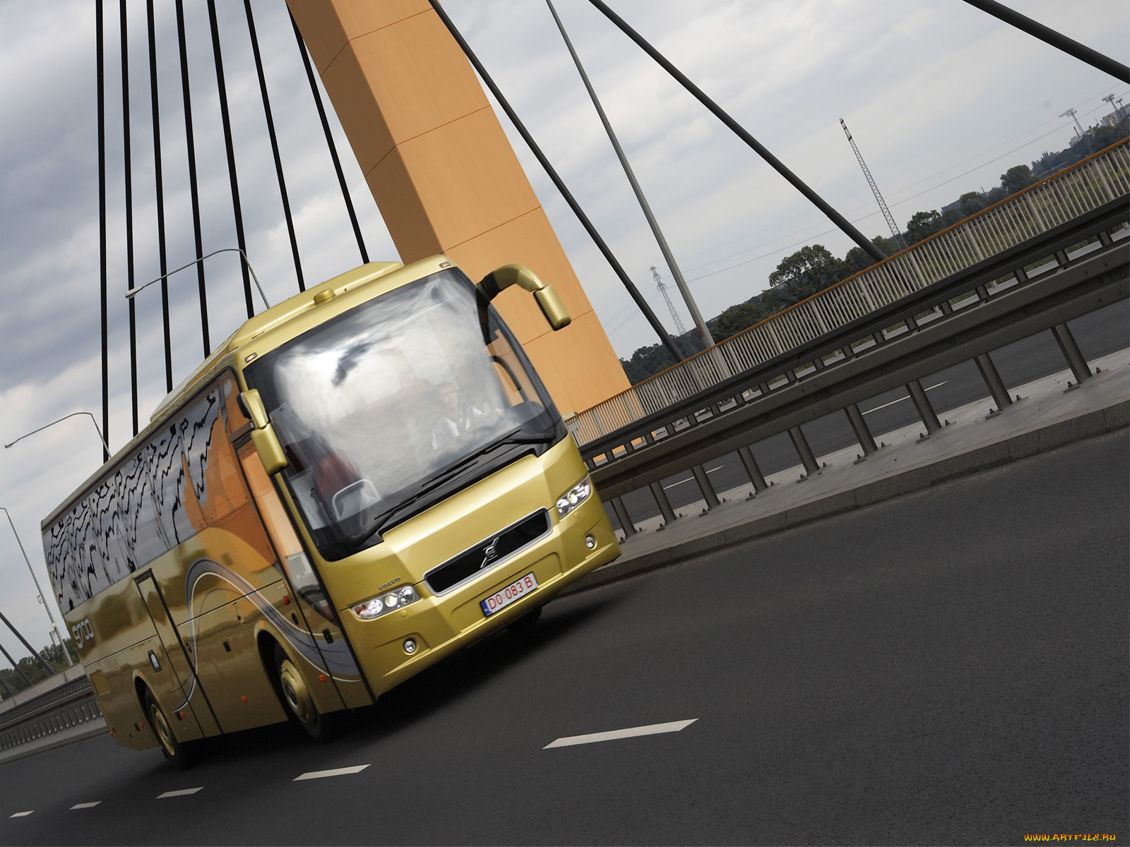 автомобили, автобусы