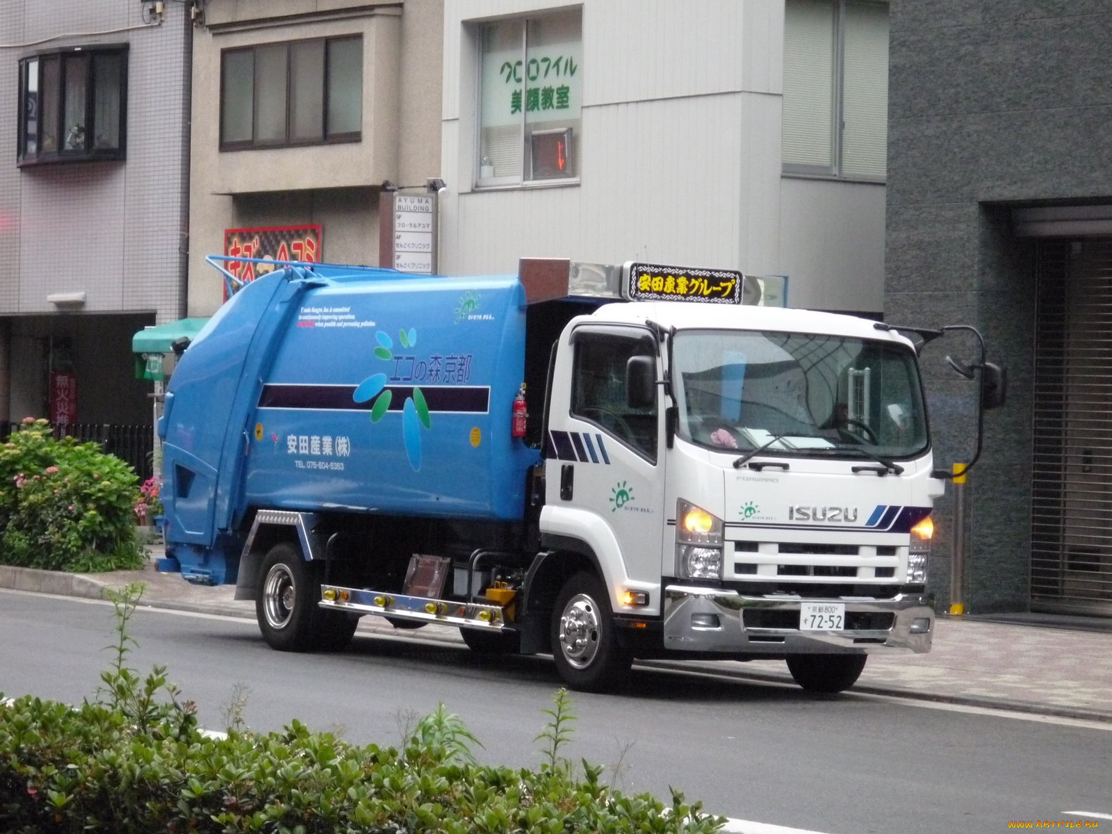 автомобили, isuzu