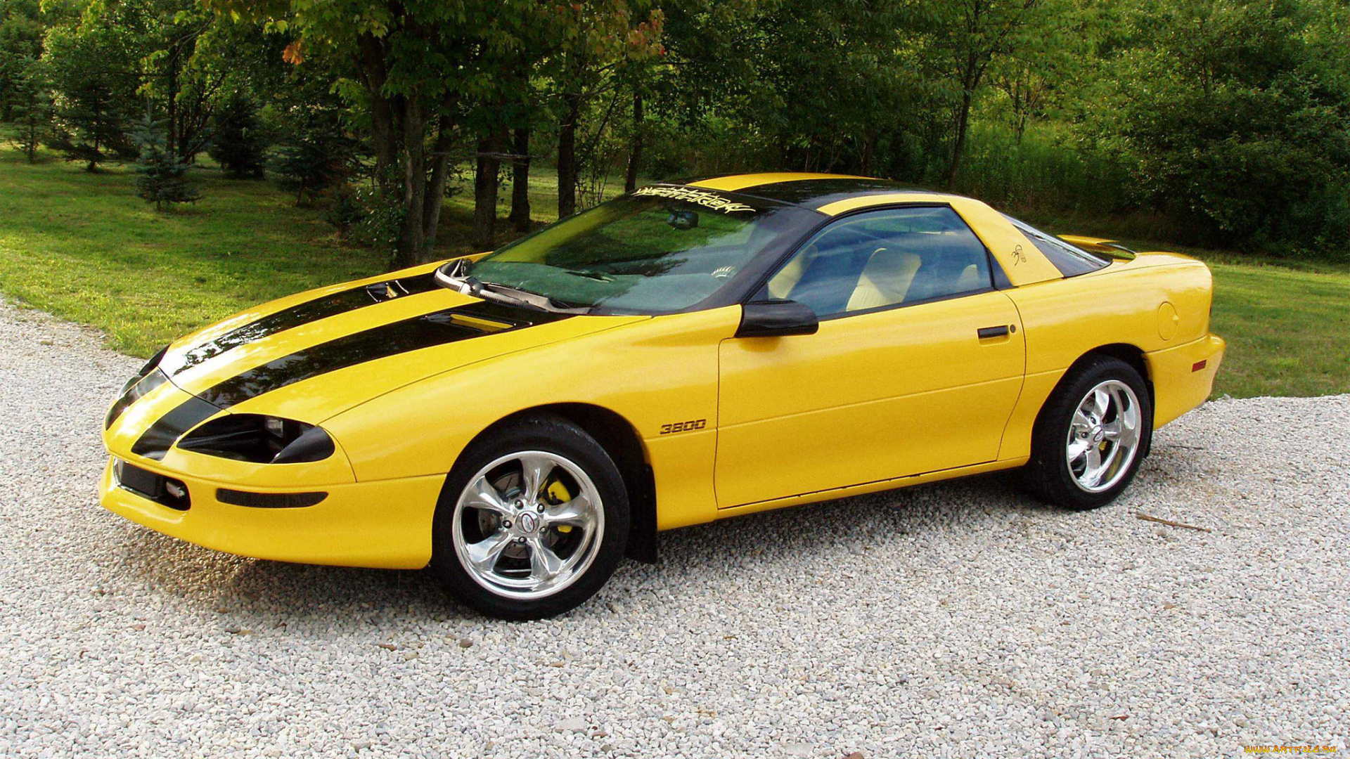 автомобили, camaro