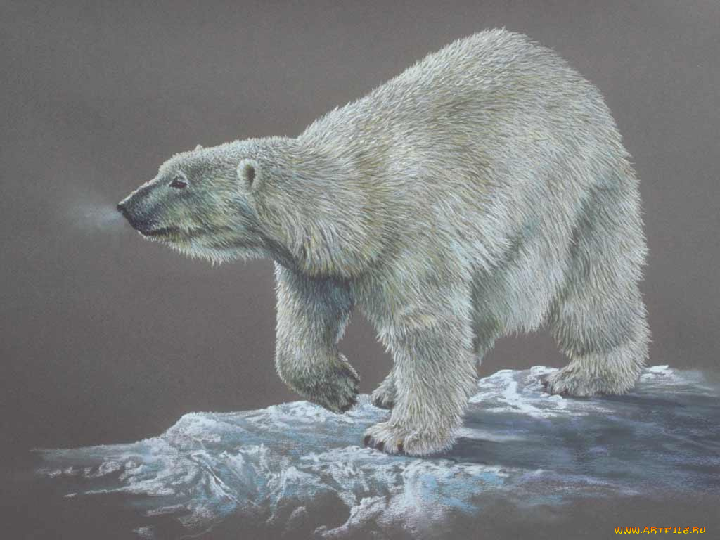 рисованные, животные