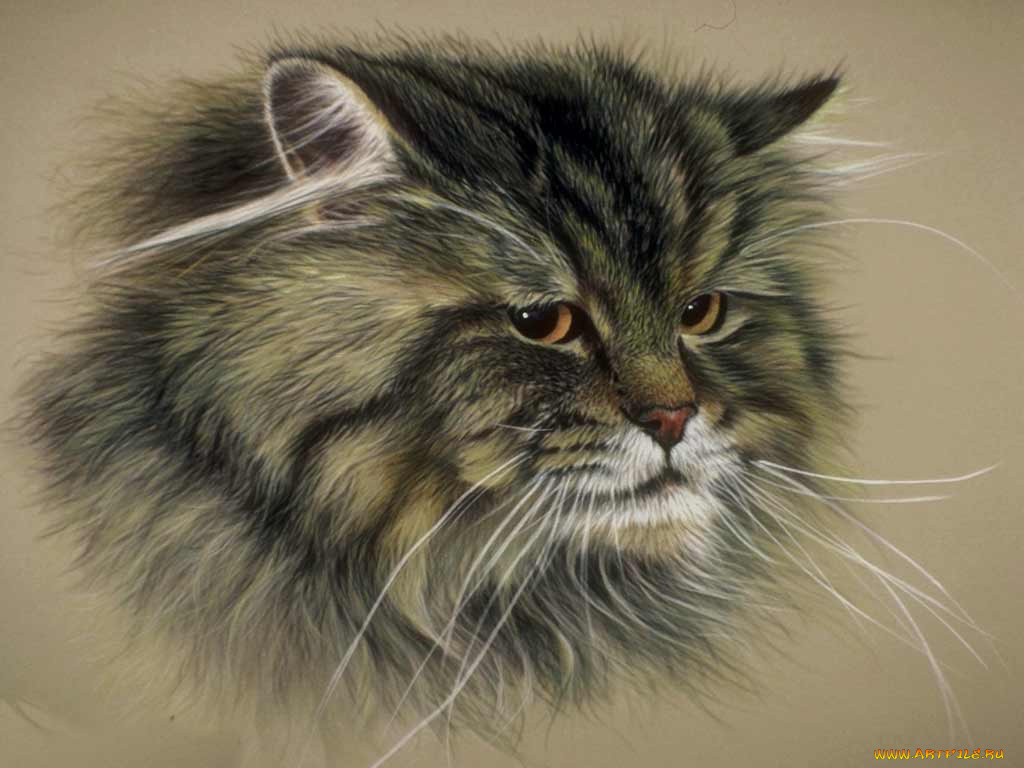 рисованные, животные