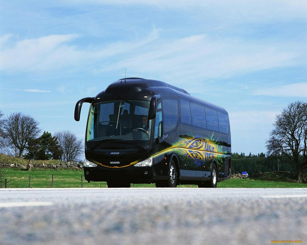 автомобили, автобусы