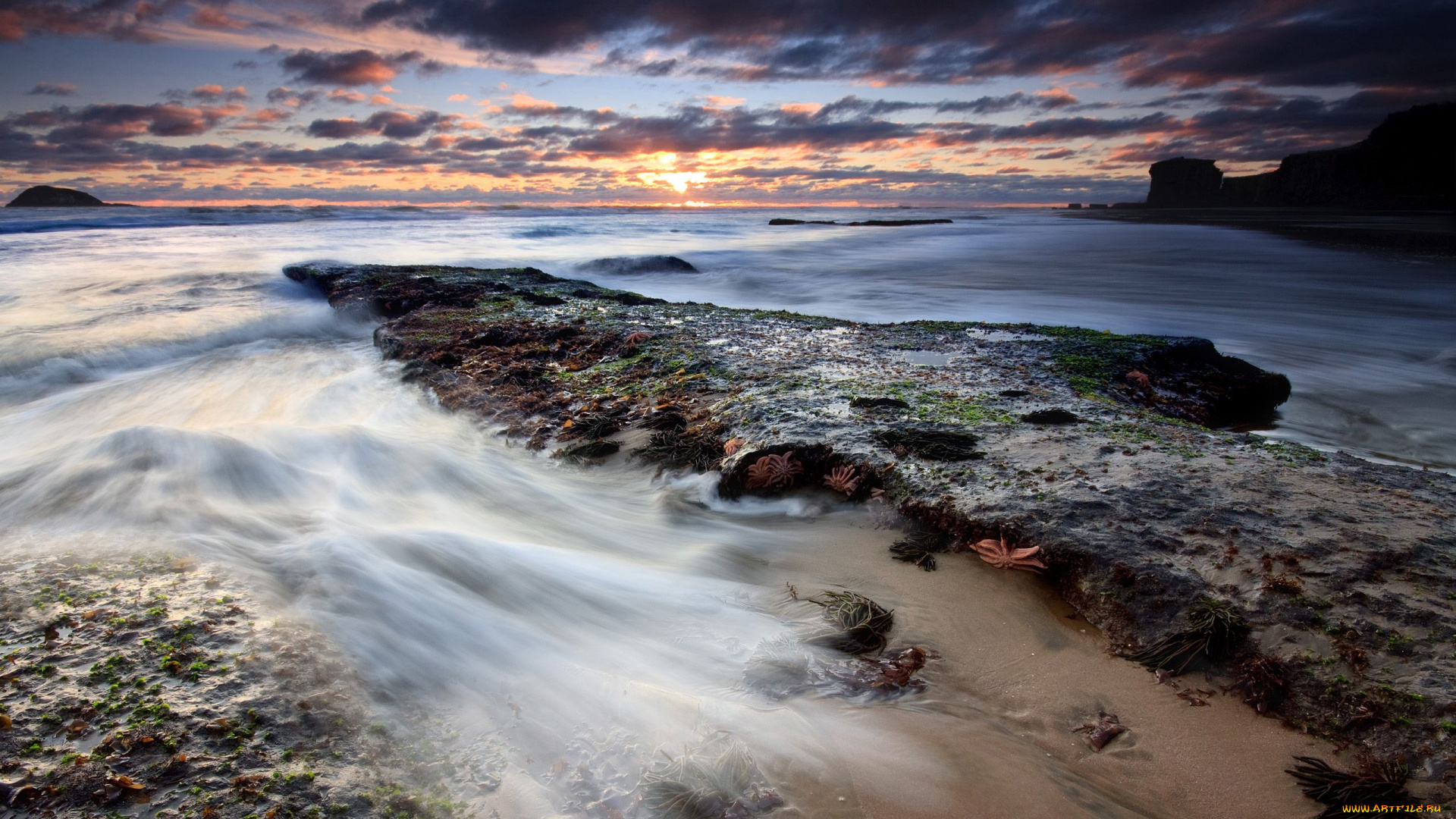 природа, побережье