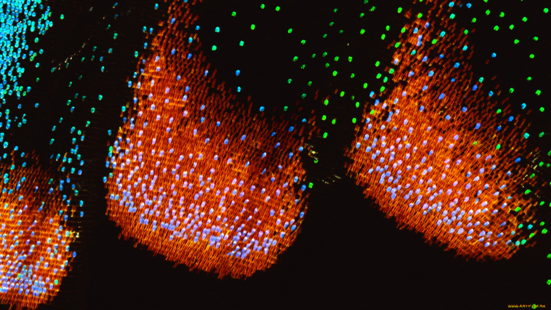 разное, текстуры