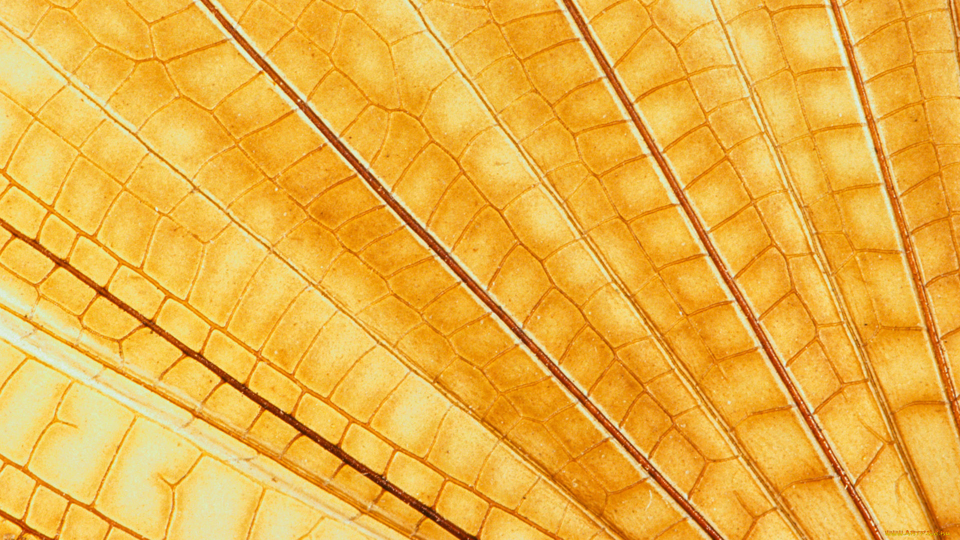 разное, текстуры