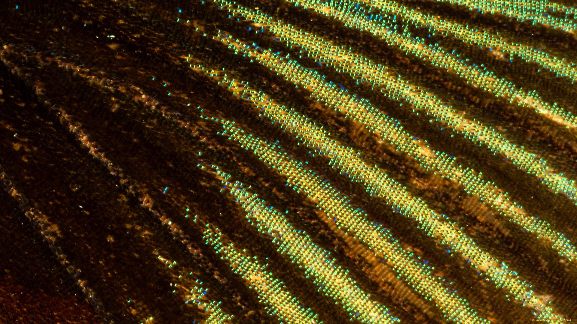 разное, текстуры