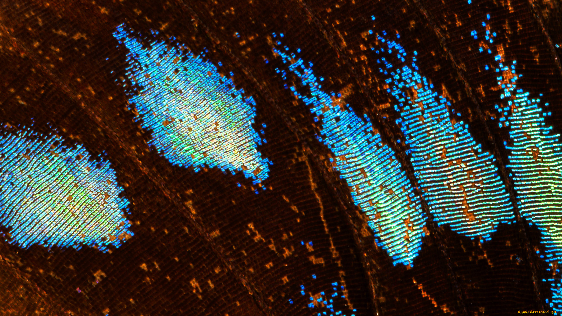 разное, текстуры