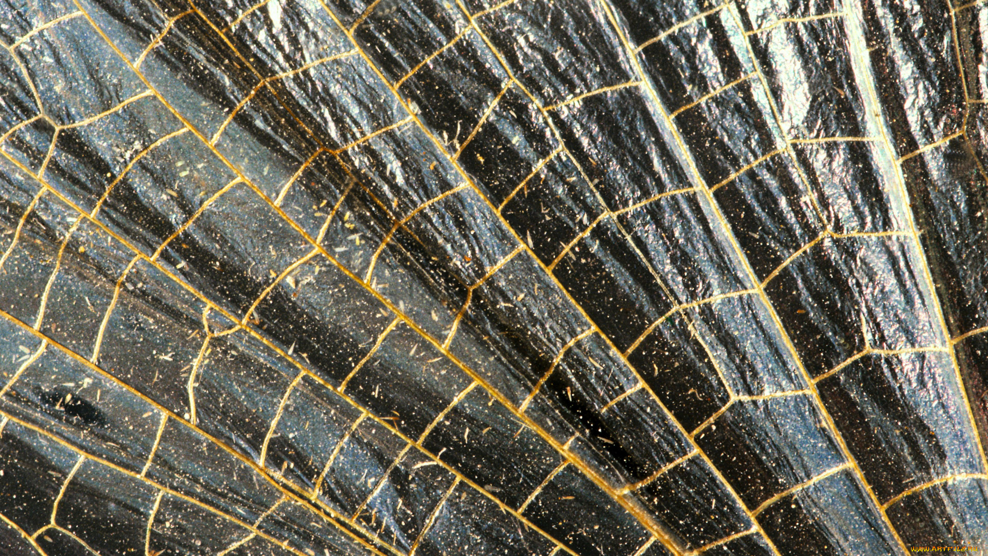 разное, текстуры