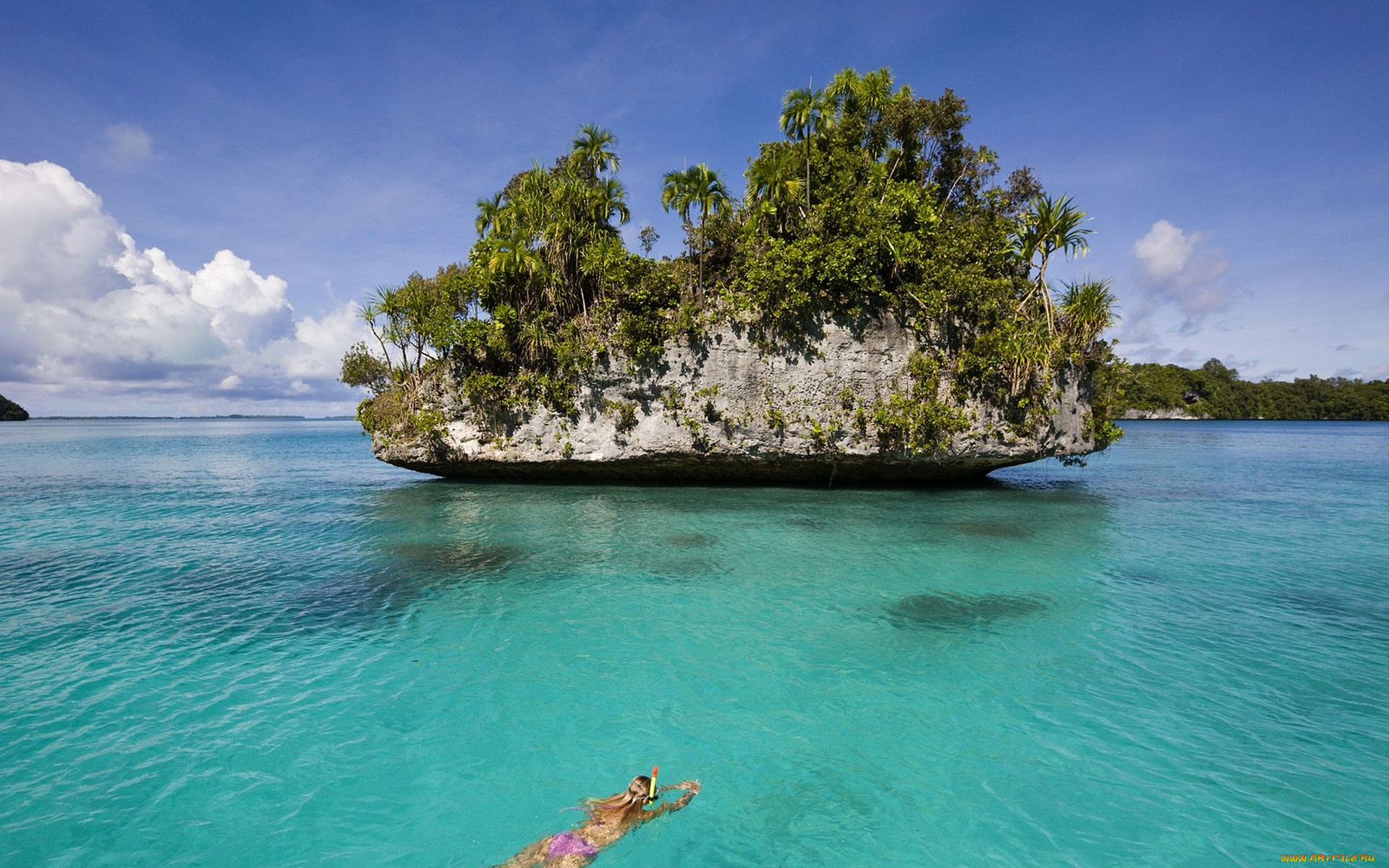 природа, моря, океаны