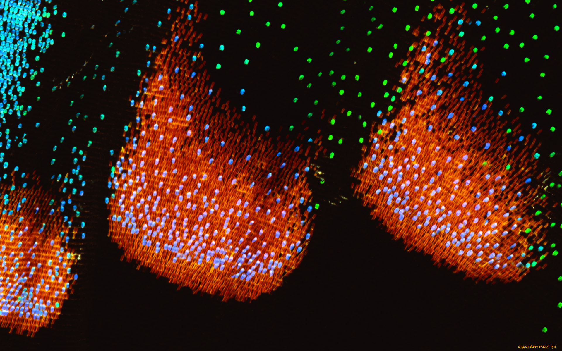 разное, текстуры