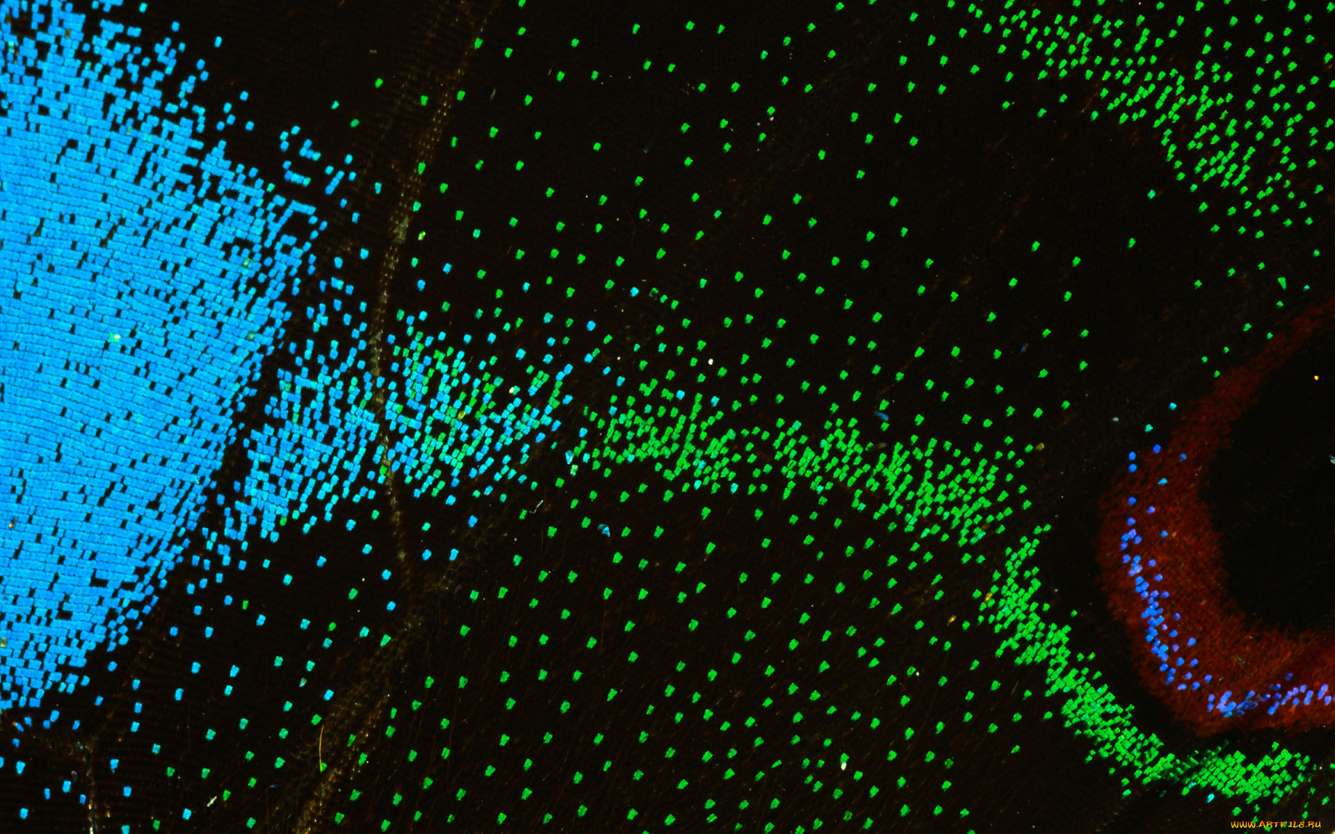 разное, текстуры