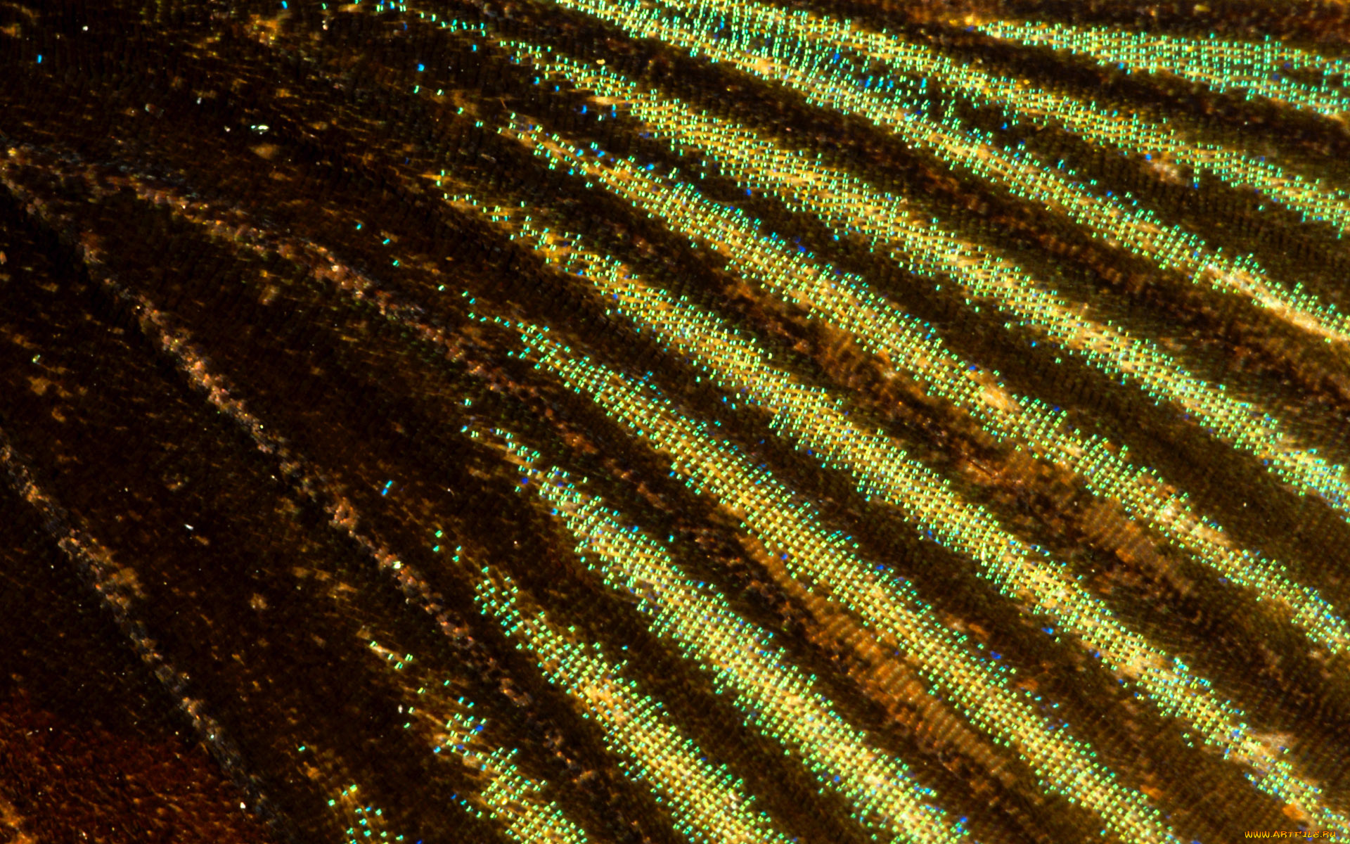 разное, текстуры