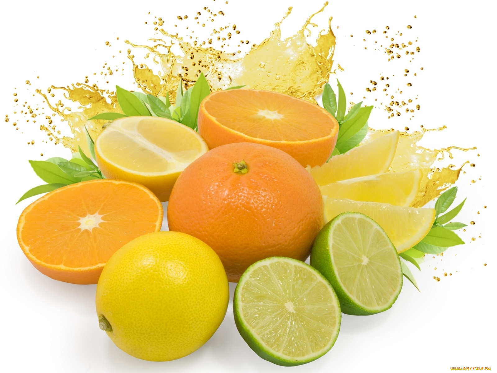 еда, цитрусы