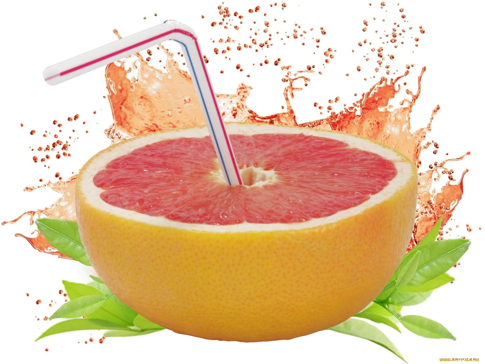 еда, цитрусы