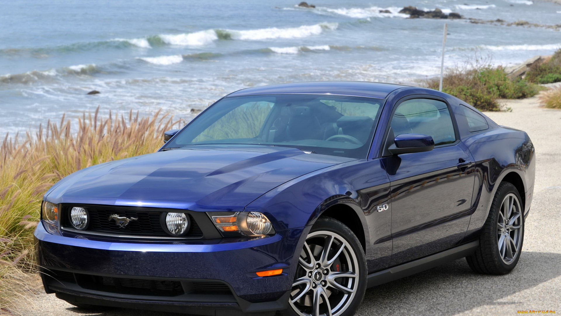 автомобили, mustang