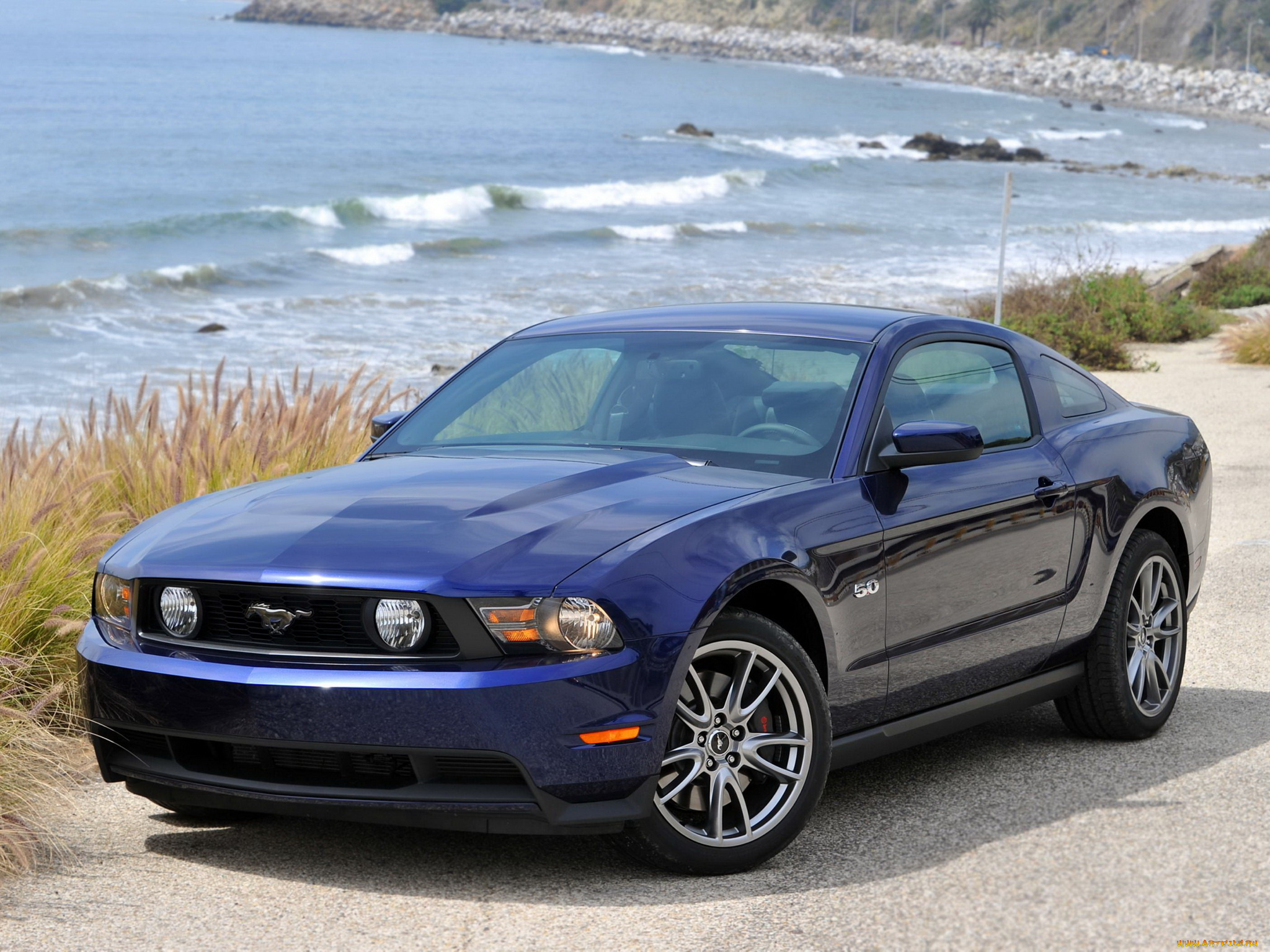 автомобили, mustang