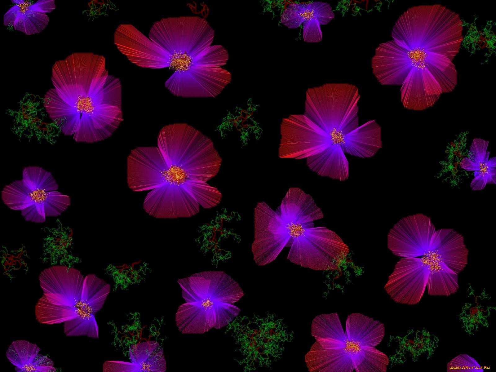 3д, графика, flowers, цветы