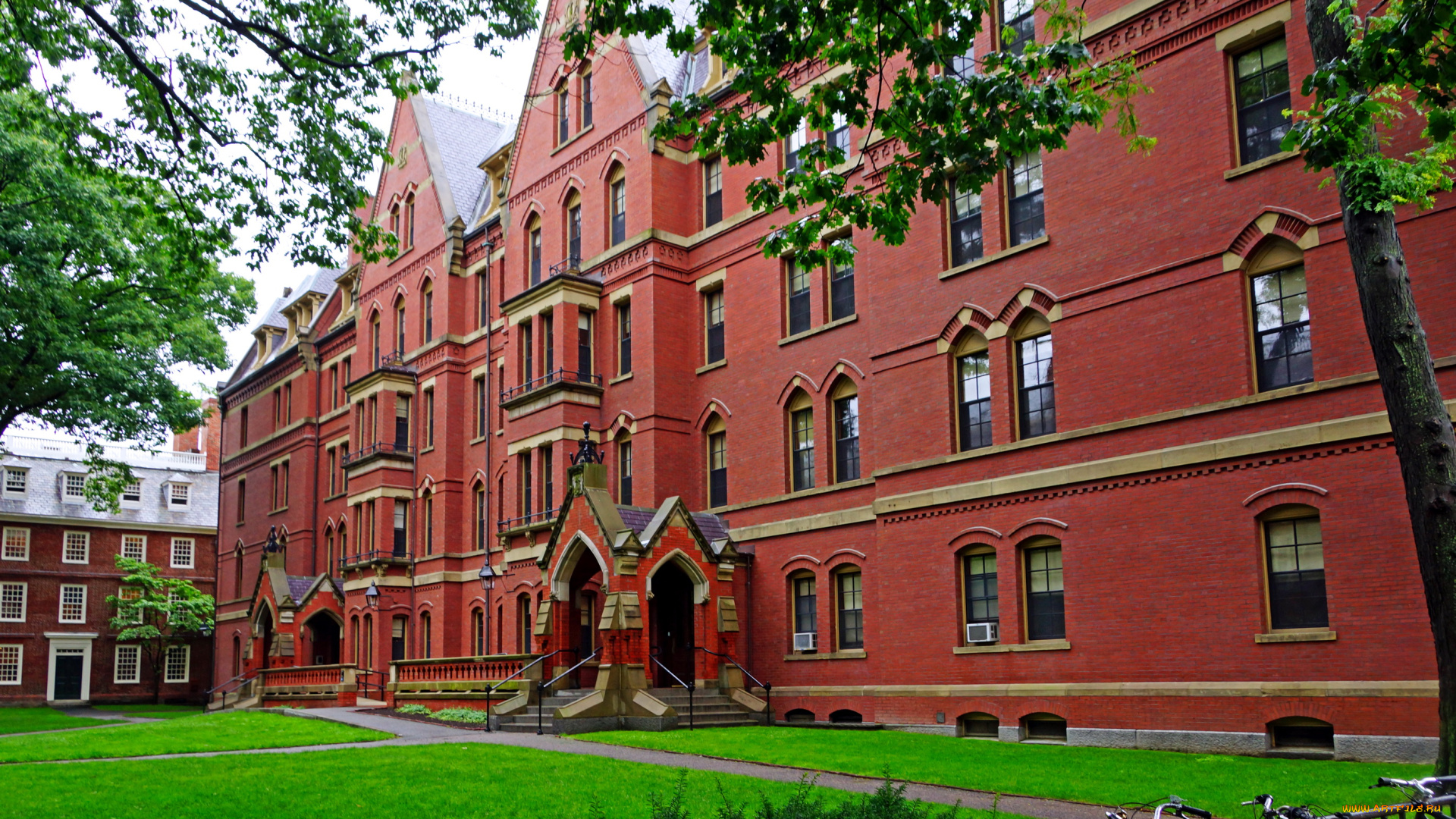 сша, кембридж, harvard, university, города, здания, дома