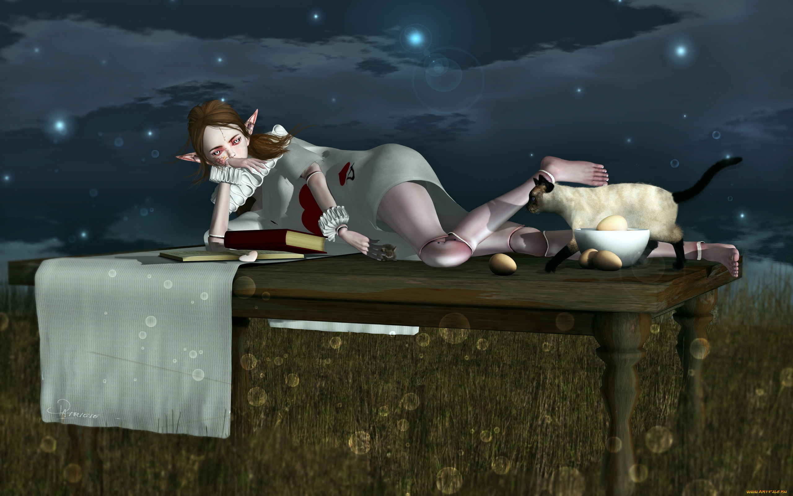 3д, графика, elves, эльфы, книги, эльфийка, кот