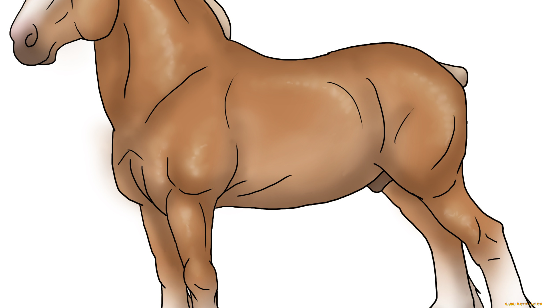 рисованные, животные, , лошади, лошадь