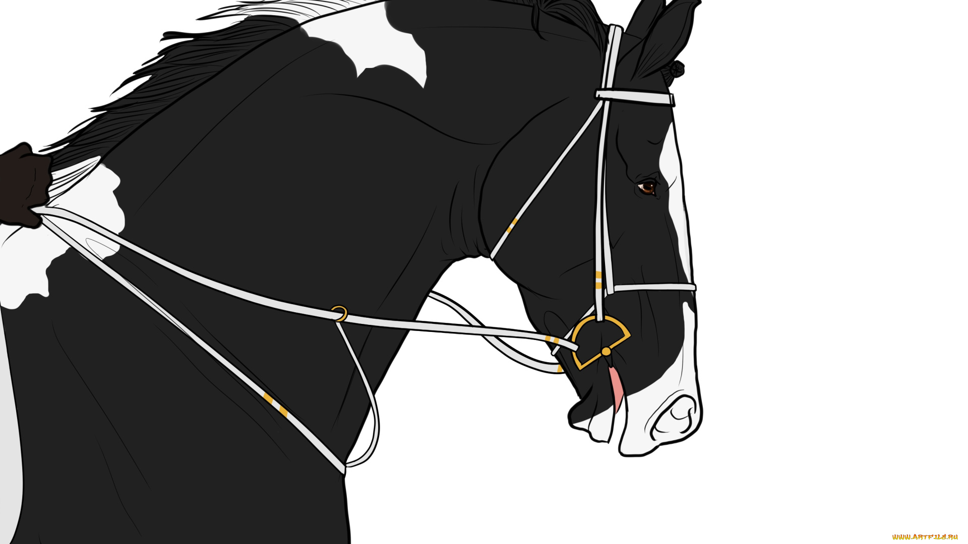 рисованные, животные, , лошади, лошадь