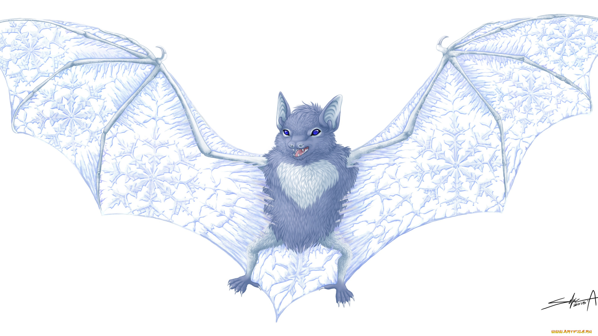 рисованные, животные, , птицы, летучая, мышь