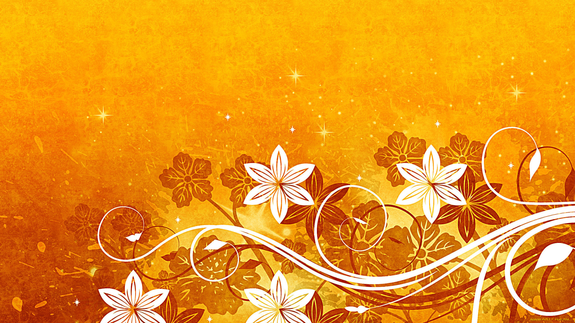 векторная, графика, цветы, жёлтый, фон, звёзды