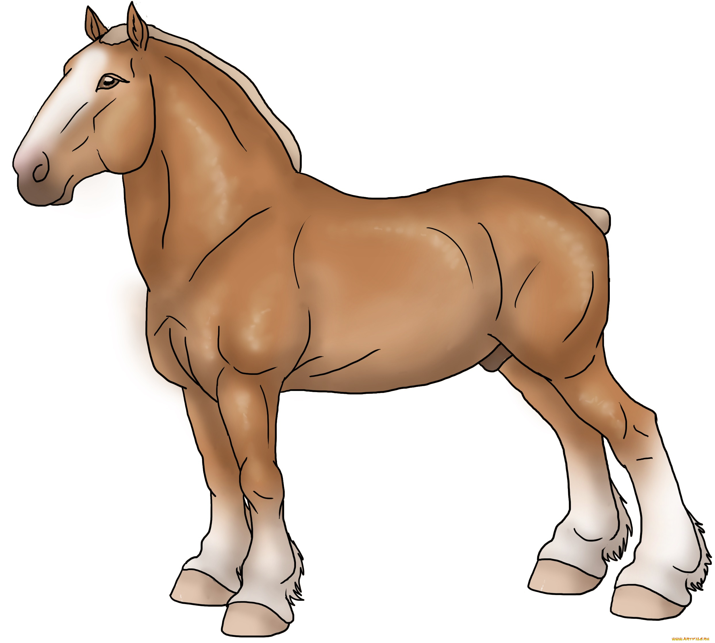 рисованные, животные, , лошади, лошадь