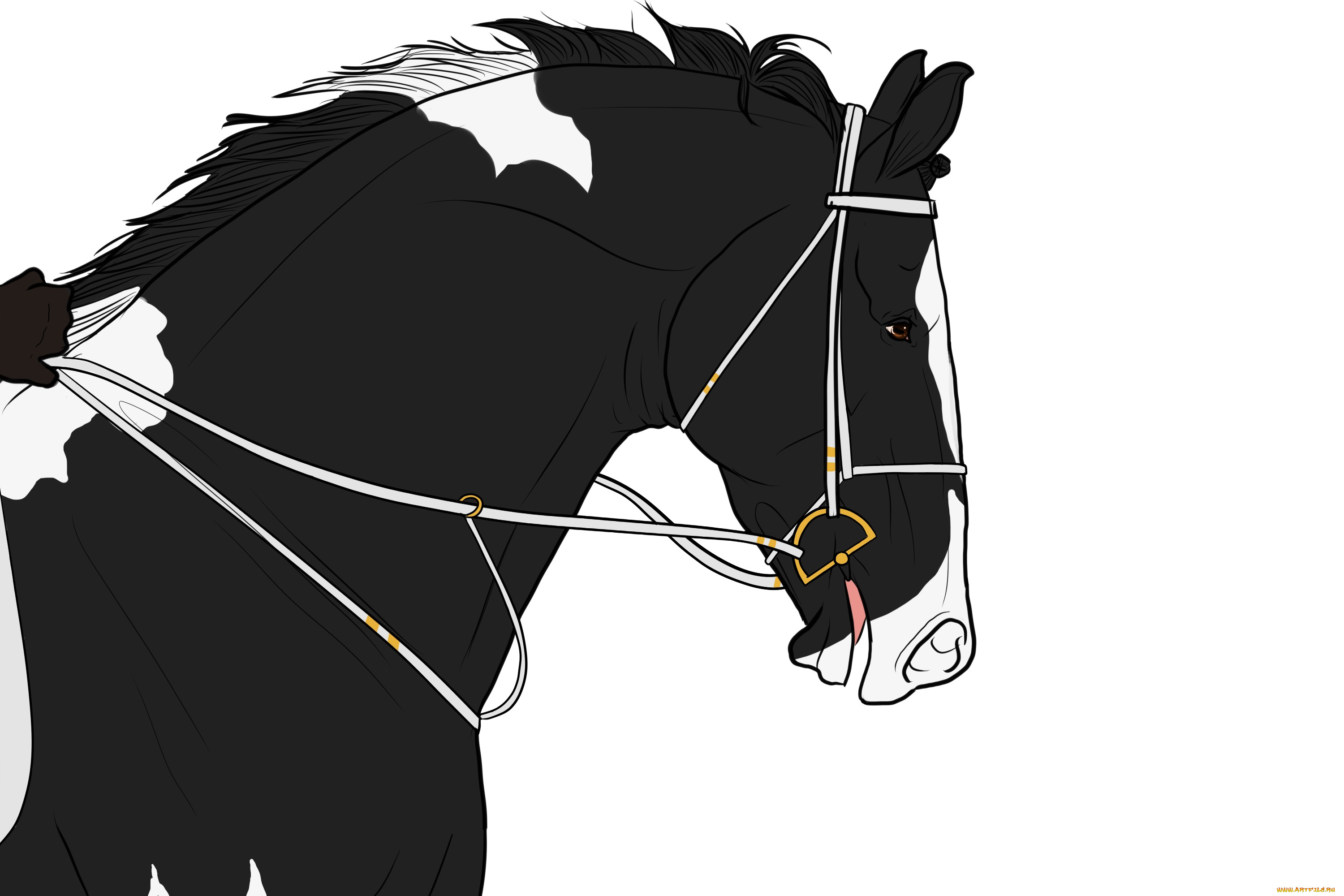 рисованные, животные, , лошади, лошадь