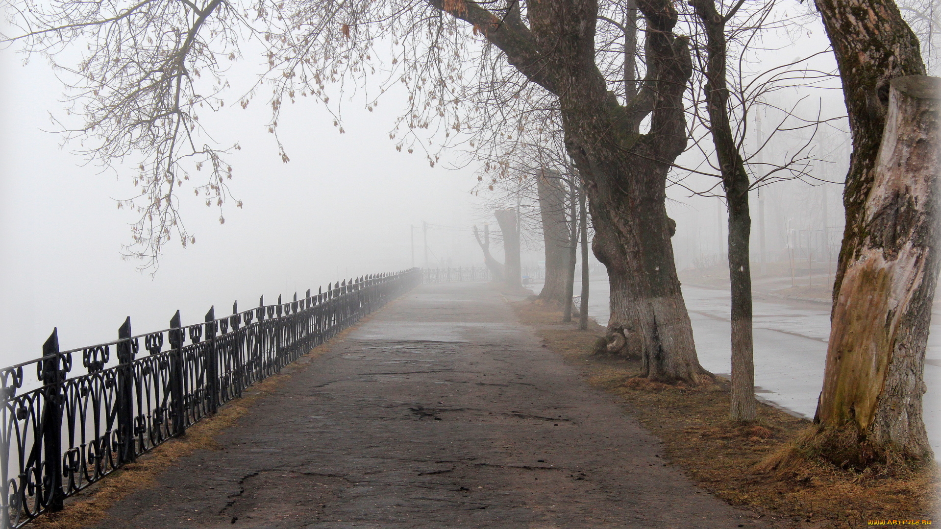 природа, парк, туман, тверь, аллея, весна