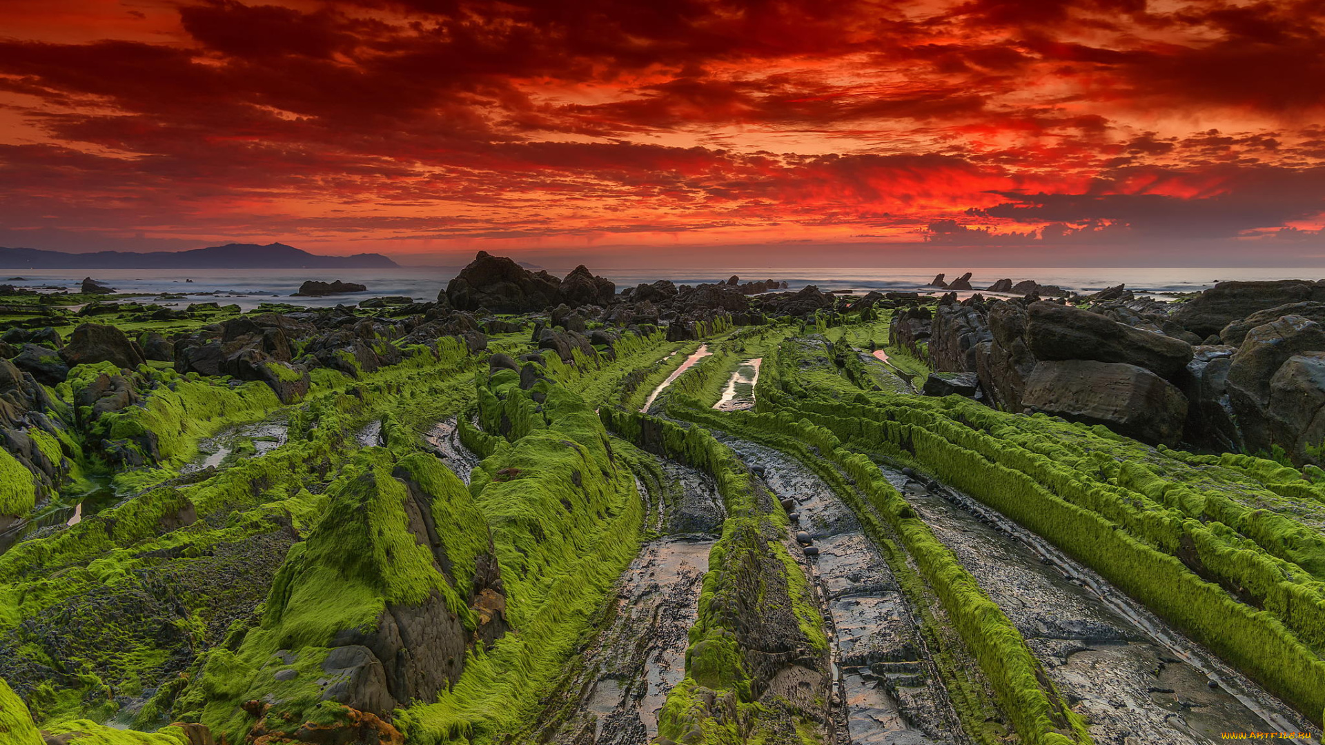 природа, побережье, рассвет, скалы, океан, отлив