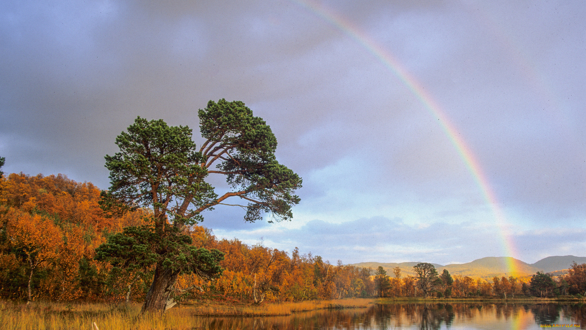 природа, радуга, река, лес