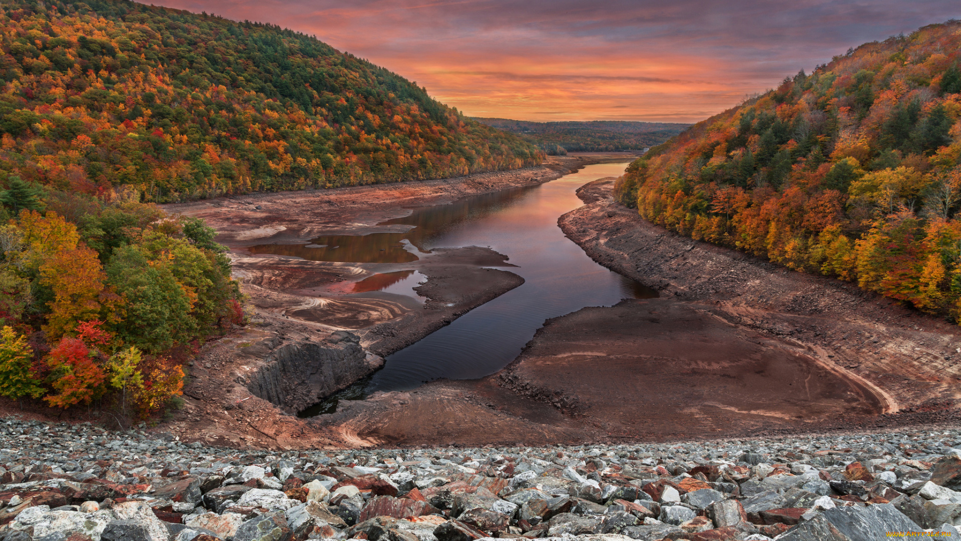 природа, реки, озера, горы, лес, река