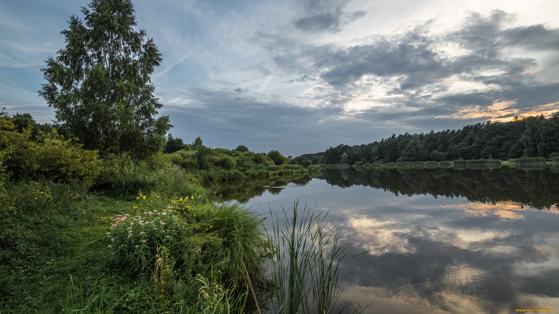 природа, реки, озера, река, лес