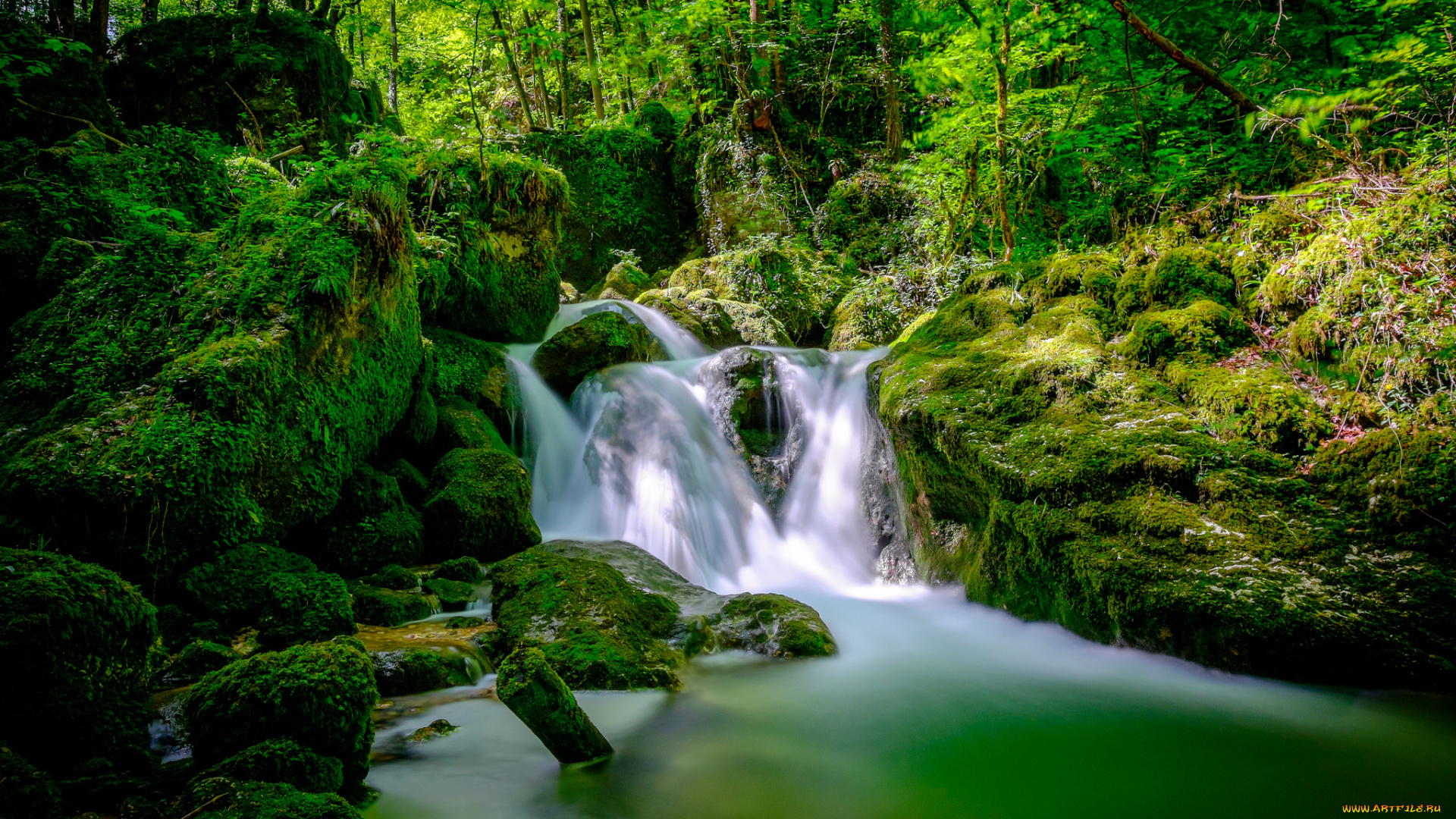 природа, реки, озера, ручей, лес