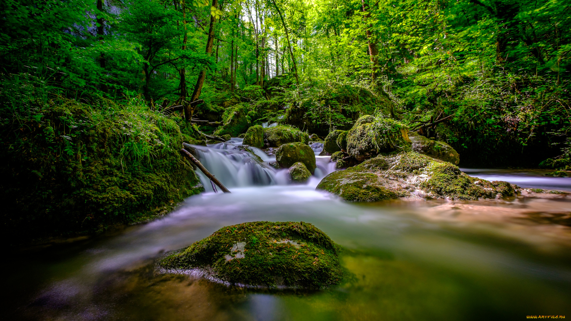 природа, реки, озера, ручей, лес