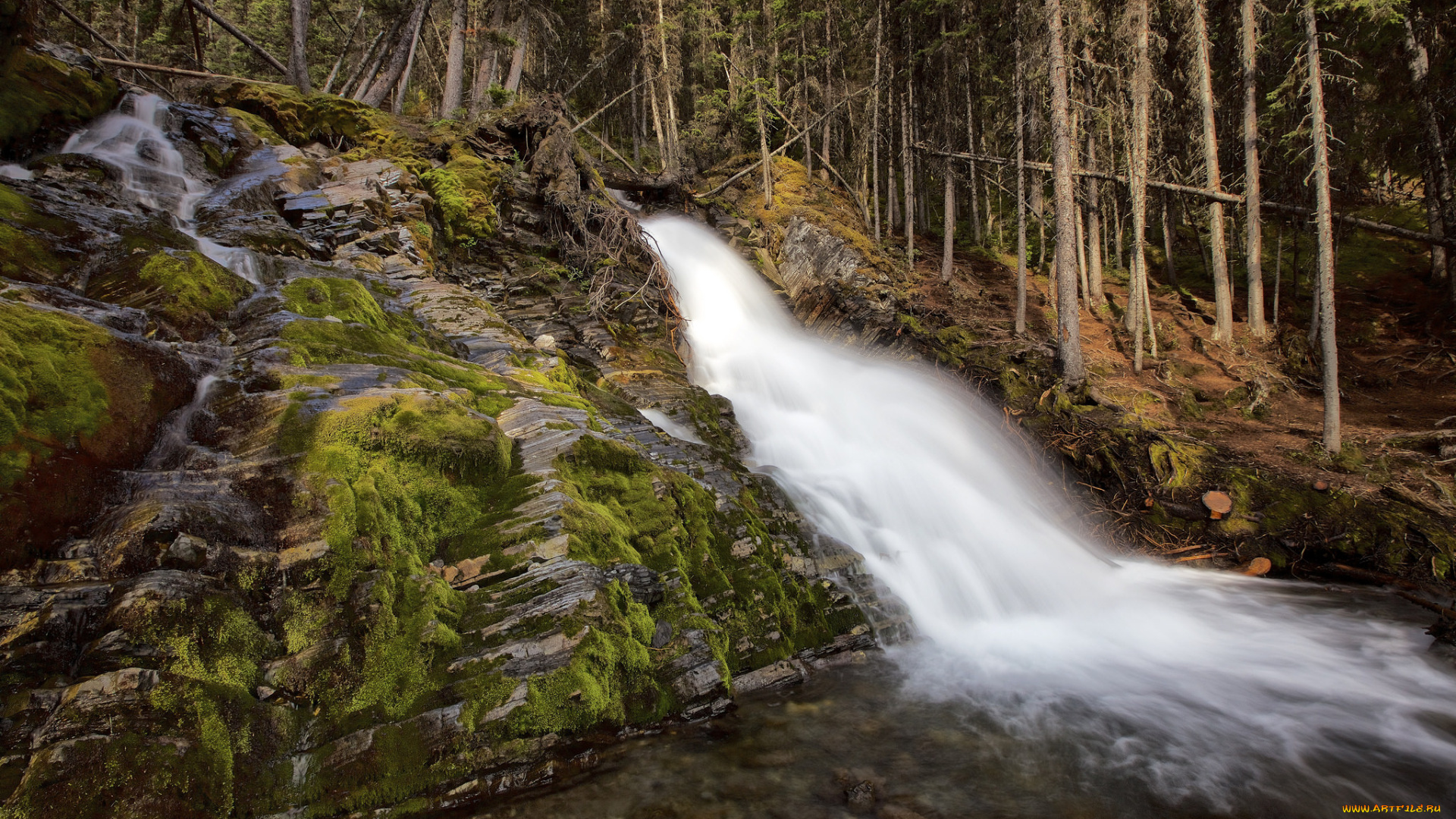 природа, водопады, лес, река, водопад