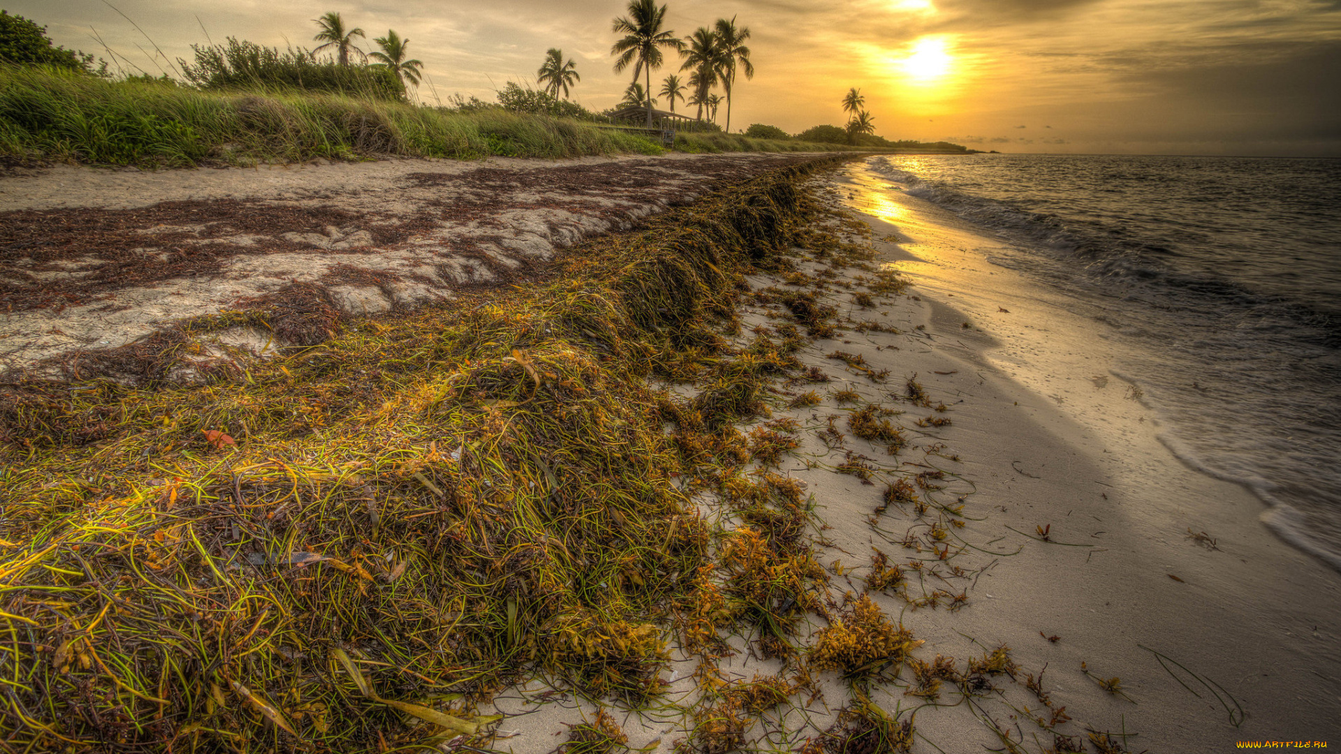 природа, восходы, закаты, рассвет