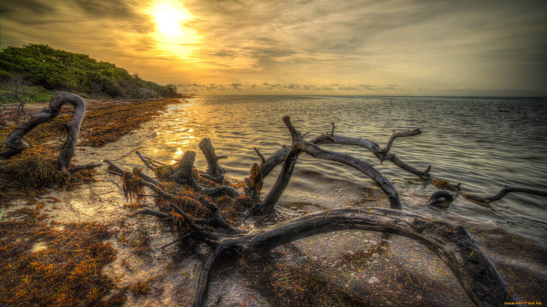 природа, восходы, закаты, рассвет