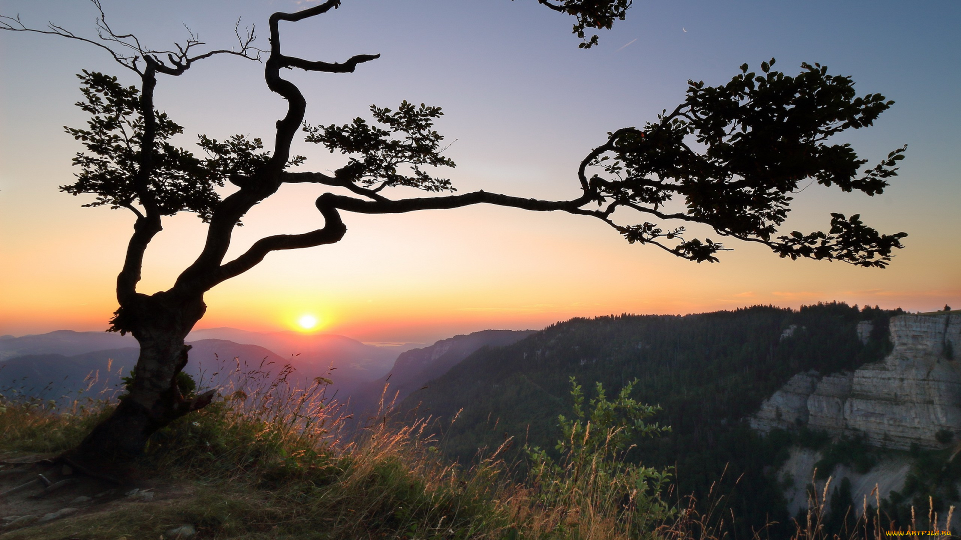 природа, восходы, закаты, утро, дерево, горы
