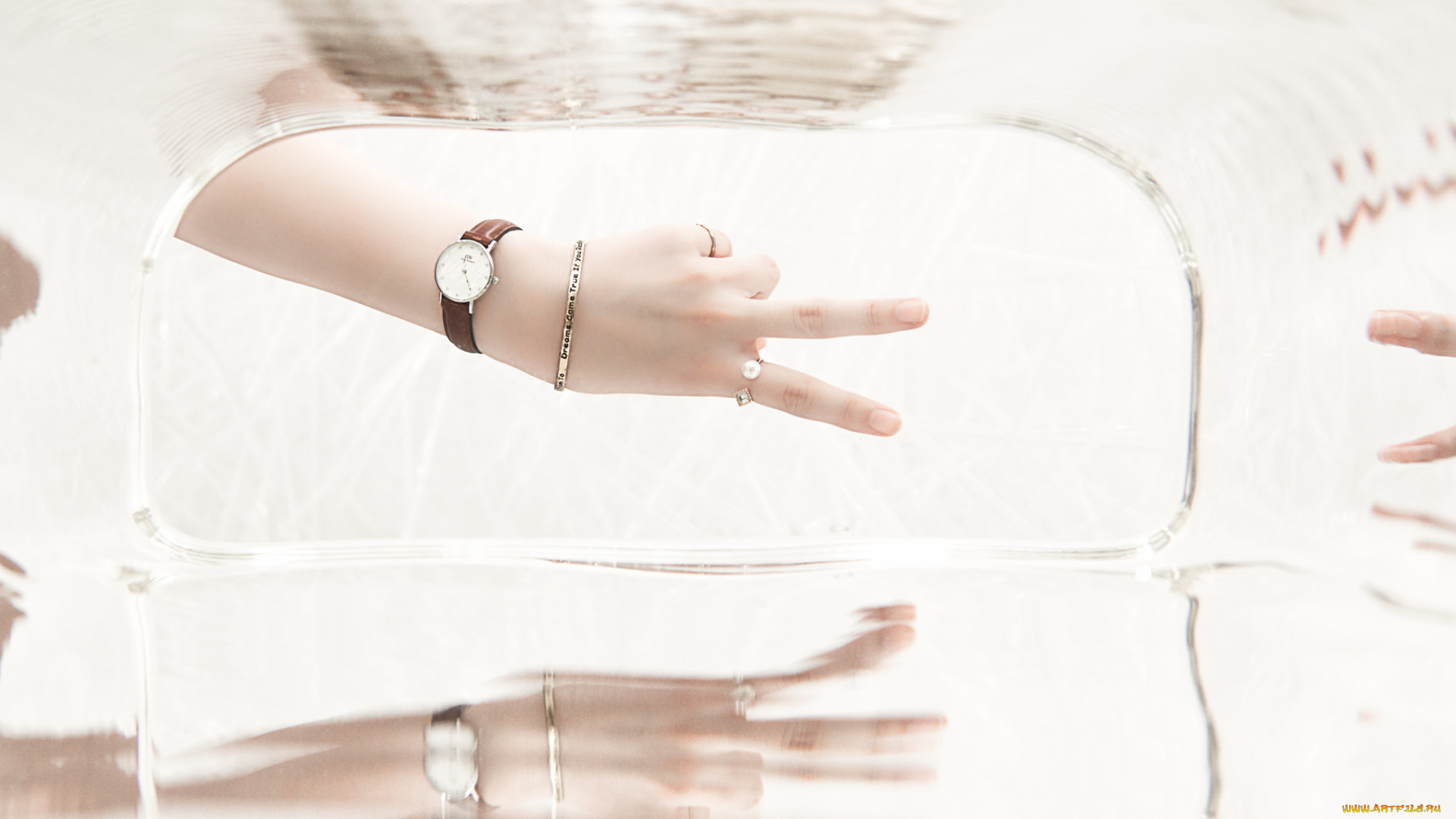 разное, руки, взгляд, тёмный, фон, пара, кошки, коты